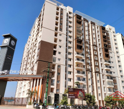 Columns : 2 BHK Flat/Apartment for Rent