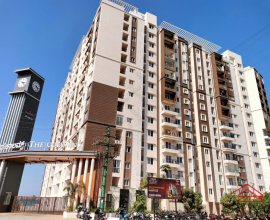 Columns : 2 BHK Flat/Apartment for Rent