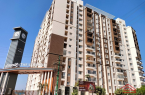 Columns : 2 BHK Flat/Apartment for Rent